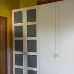 Holiday home La Solana Ancillo